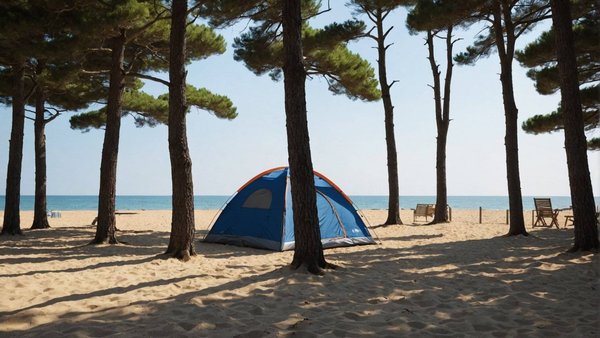 Séjournez au camping hourtin plage : nature et détente garanties
