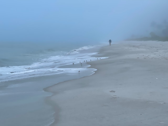 Les Meilleurs Emplacements pour Faire du Camping à Vias Plage en Bord de Mer